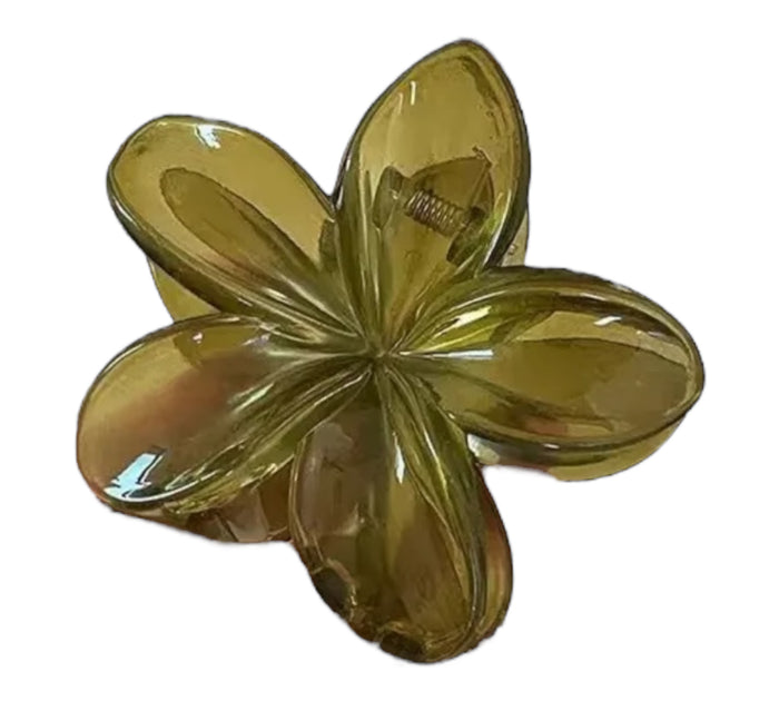 Blumenhaarklammer Transparent | Khaki
