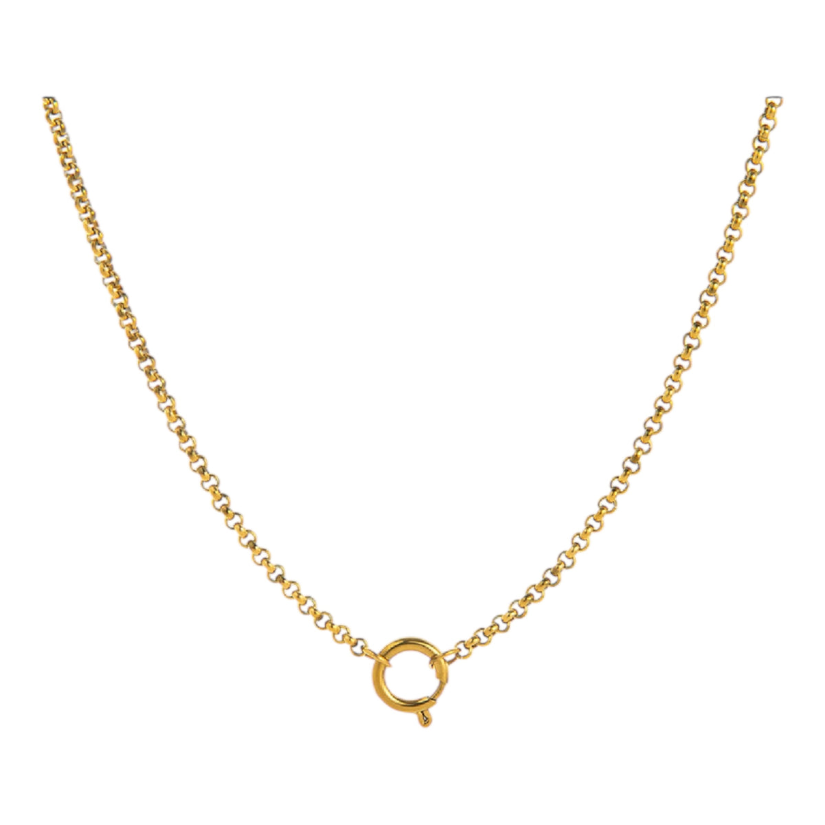 Halskette mit kleinem Charm-Ring – Gold